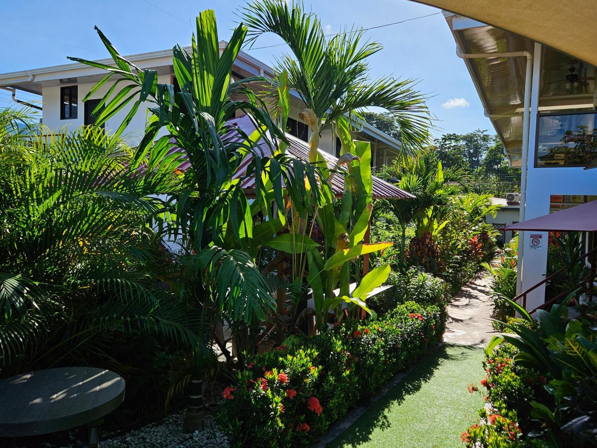 Ballena Rey Hotel Uvita Exterior photo